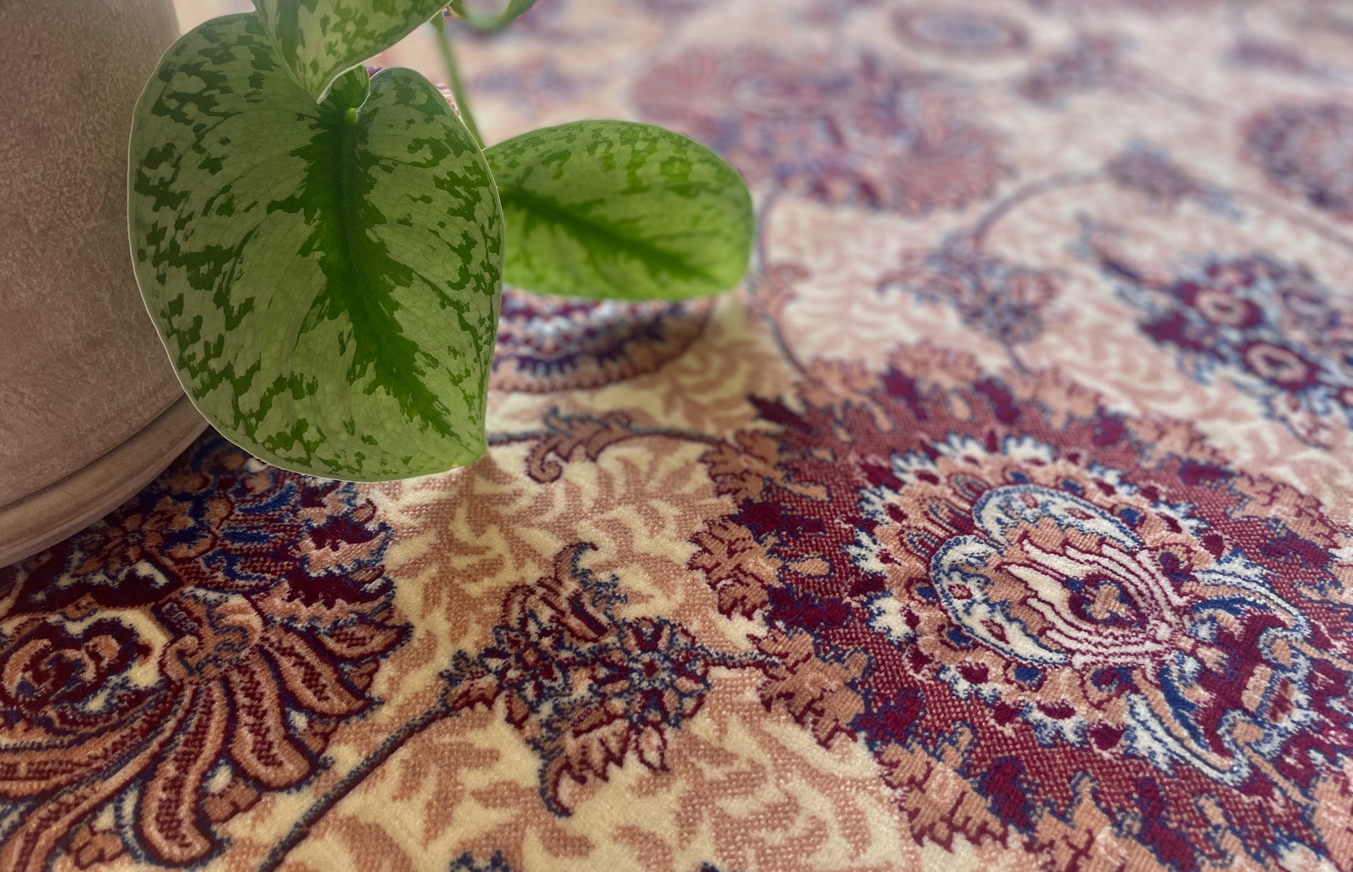 Lion  - Plush Persian Rug