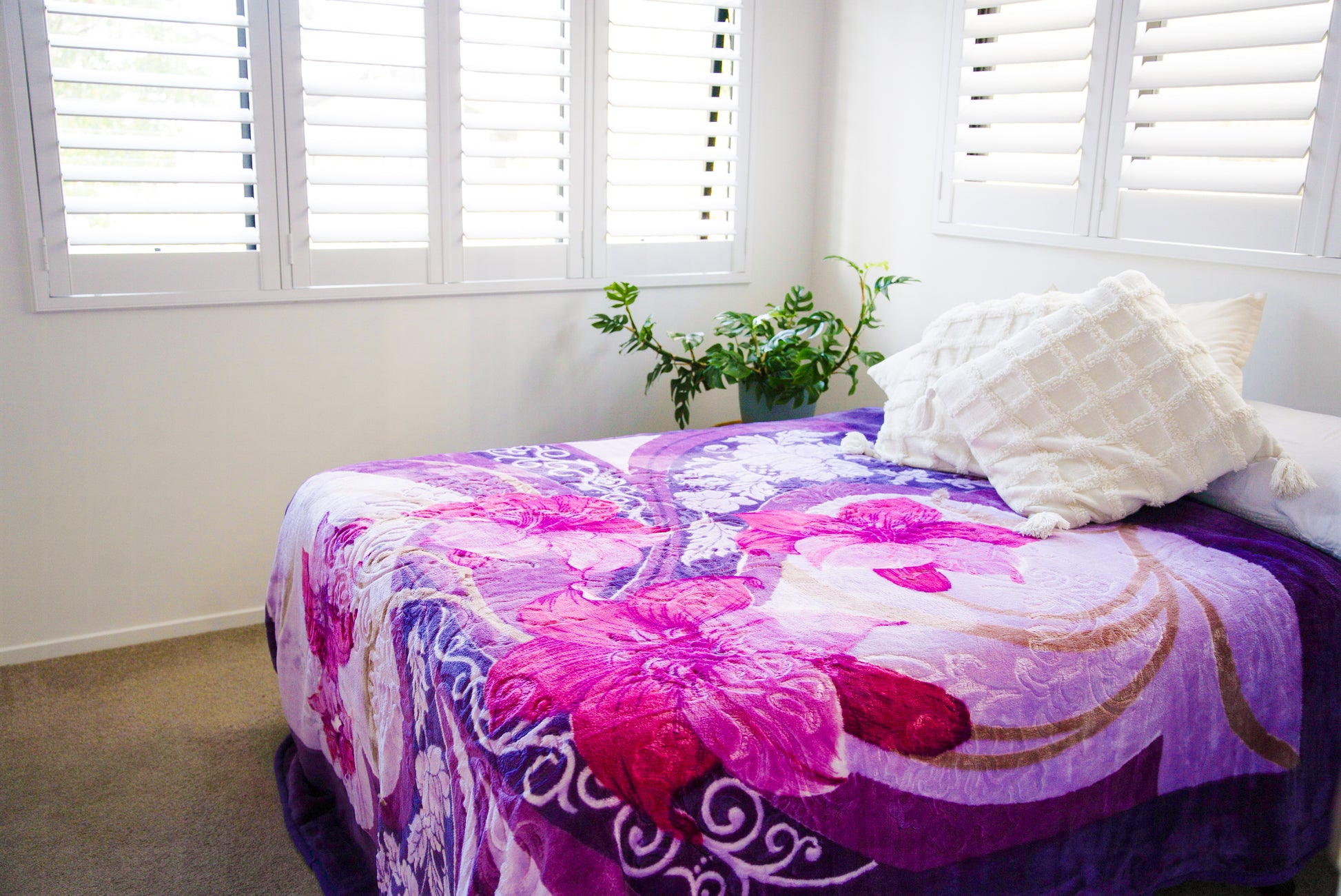 Purple Swirl - Mink Blanket (Double)